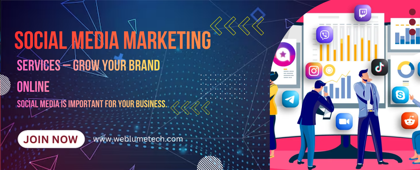 Professional Website Design Company in Noida - WebLumeTech
